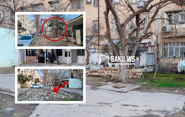 Binaların qarşısı acınacaqlı VƏZİYYƏTDƏDİR - İstirahət üçün heç bir ŞƏRAİT YOXDUR