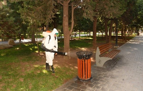 Bakıda küçələr yuyuldu
