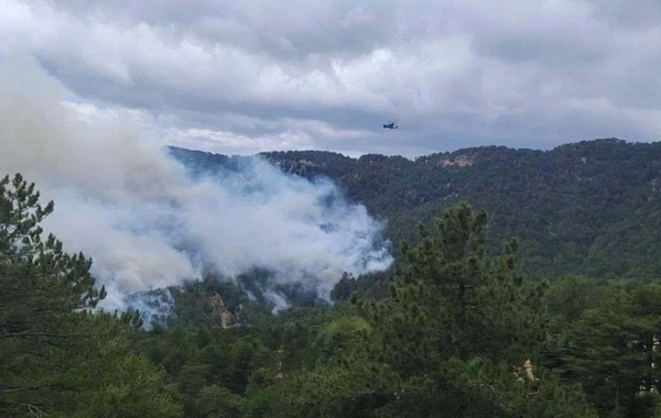 Antalyada 2 gündə 38 meşə yanğını olub