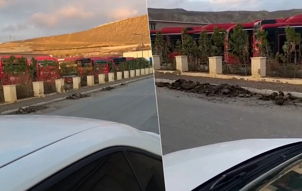 Bakıda illərdir istifadəsiz qalan avtobuslar