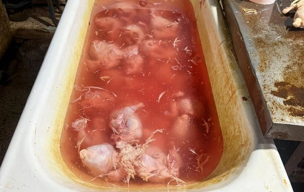 Выяснилось, чем обрабатывали куриц, продаваемых как "деревенские"