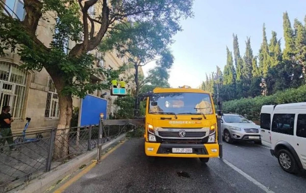 Güclü külək Bakıda onlarla ağacı aşırdı, budaqları sındırdı