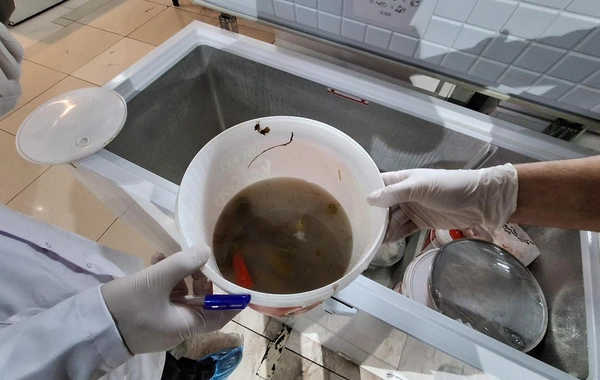 Qəfil ƏMƏLİYYAT - Kafedə iyrənc görüntülər