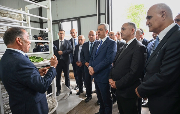 Xocalının Daşbulaq kəndində baramaçılığın inkişafı üçün yaradılmış infrastruktura baxış keçirilib