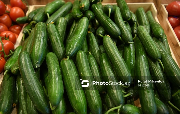 Hava şəraiti fermerləri çətin vəziyyətə salıb: Məhsul itkisi artır