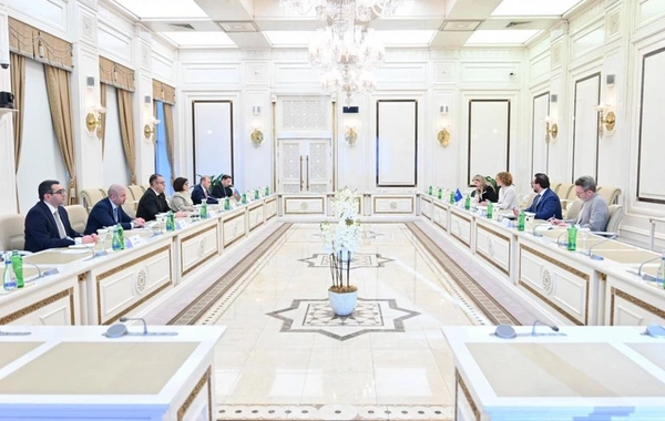 Milli Məclislə NATO PA arasında gələcək əməkdaşlıq perspektivləri müzakirə edilib