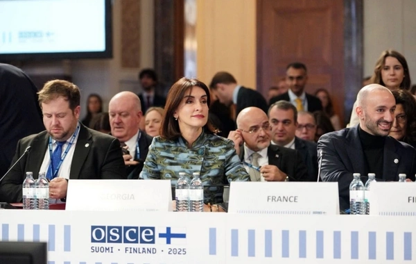 Boçorişvili: Bakı və İrəvan arasında sülh sazişi Cənubi Qafqazda inkişaf üçün imkan yaradır