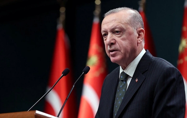 Эрдоган: в Турции ограничат владение оружием