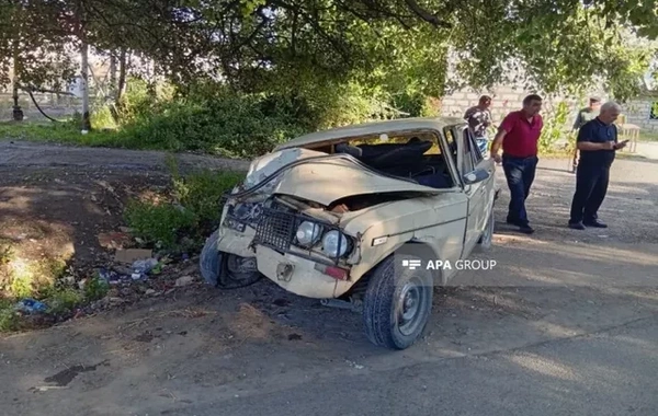 Qazaxda avtomobil ağaca çırpıldı: İki qardaş xəsarət aldı