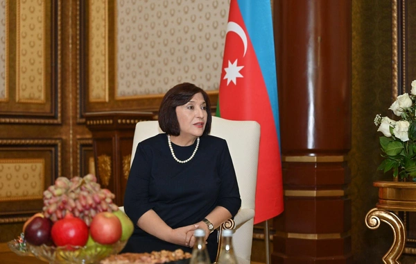 Milli Məclisin sədri Tacikistanda səfərdədir