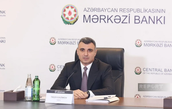 Taleh Kazımov: Pul siyasəti iqtisadiyyatın şaxələndirilməsini təkbaşına təmin edə bilməz