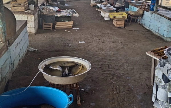 Azərbaycanın bir neçə rayonunda ərzaq bazarlarında nöqsanlar aşkarlandı