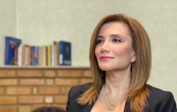 Gültəkin Hacıbəylinin Türkiyədən deportasiya olunmasına qərar verilib