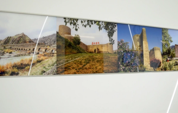 Leyla Əliyeva BMT-nin Cenevrə ofisində "Azərbaycan otağı" ilə tanış olub