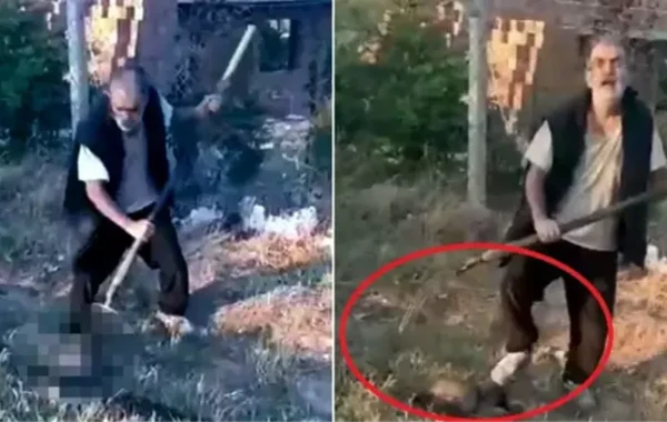 İti yabayla vuraraq öldürdü
