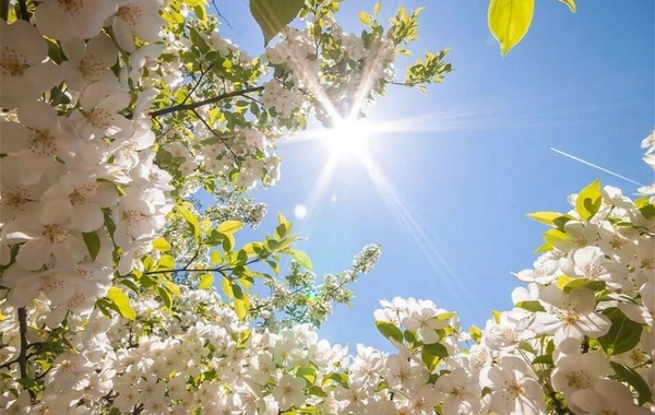 Sabah 27° isti olacaq, yağış da yağacaq - PROQNOZ