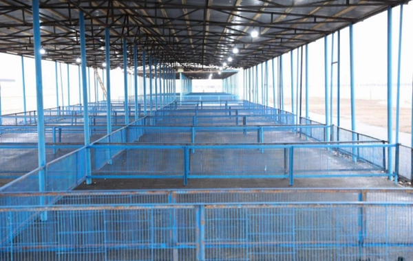 Çox insanın gözlədiyi XOŞ XƏBƏR - Yaxın günlərdə...