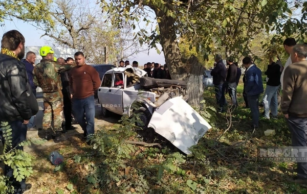 Qubada avtomobili ağaca çırpılıb, ölən və yaralanan var