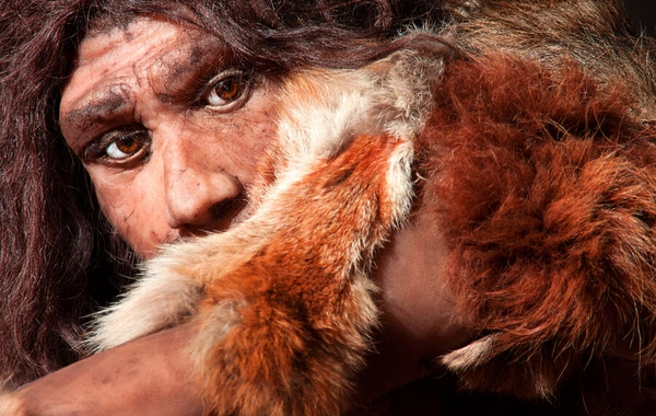 An unexpected product named that influenced human evolution