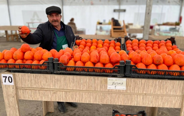 Ucuz qiymətə bazarlıq etmək istəyənlər üçün SEVİNDİRİCİ XƏBƏR