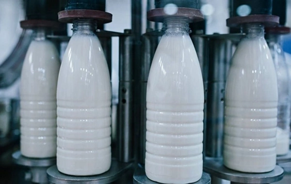Обнаружены нарушения в работе известного производителя молочных продуктов