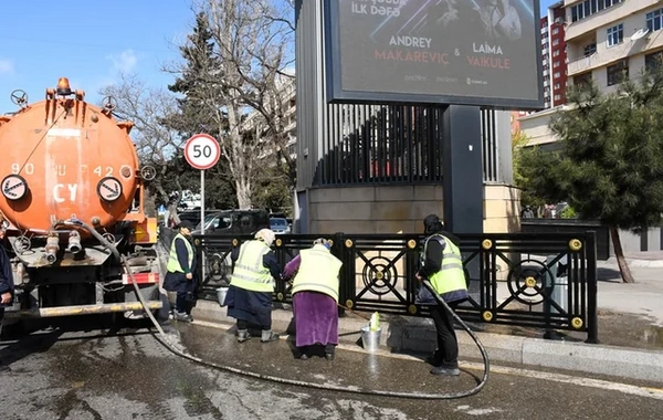 Bakıda yaz mövsümü ilə əlaqədar genişmiqyaslı daxili iməcilik keçirilib