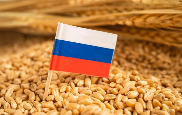 20 ölkə Rusiyadan buğda almaqdan imtina edib