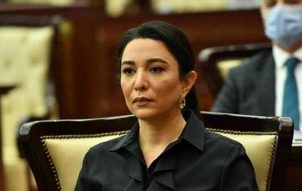 Ombudsman: Dövlət başçısının amnistiya təşəbbüsü humanist dəyərlərə əsaslanan siyasətin bariz nümunəsidir