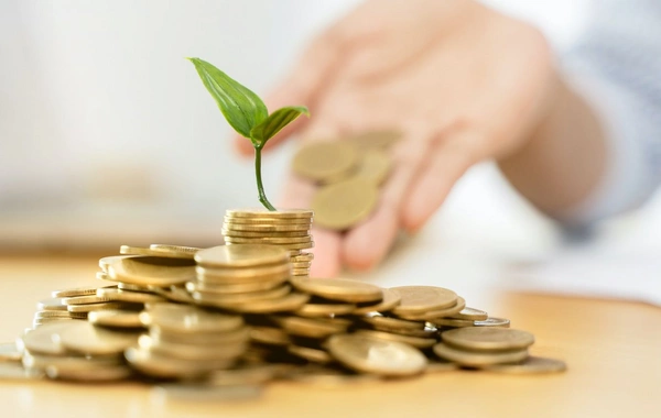 Azərbaycanda aqrar sığorta qanunvericiliyi təkmilləşdirilə bilər