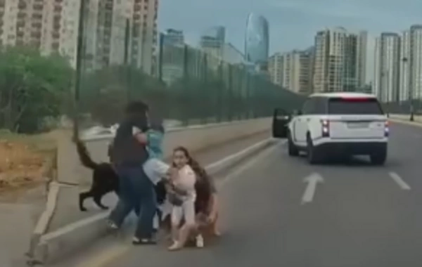 Bakıda sahibsiz it uşaqlı qadına hücum etdi