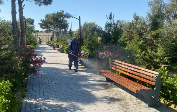 Bakıda növbəti daxili iməclik keçirilib