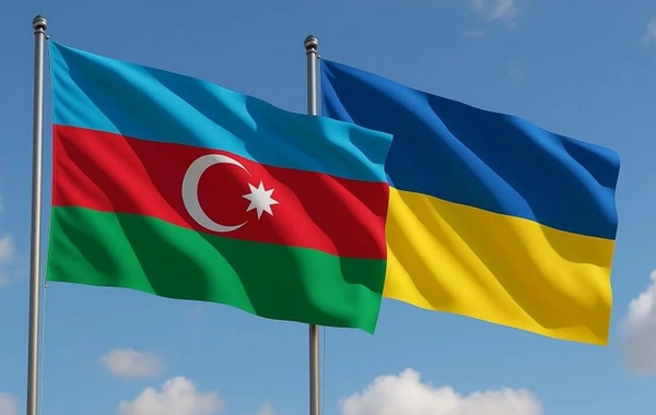 Bakı ilə Kiyev arasında humanitar yardım oxşar problemlərin mövcudluğuna işarədir - RƏY