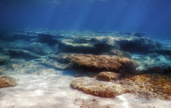 Scientists discovered a strange 10-million-year-old signal at the bottom of the Pacific Ocean