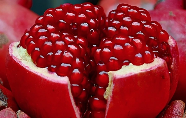 Göyçay Nar Festivalında narın qiymətləri açıqlanıb