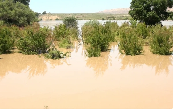 Kür çayı daşdı, evləri və əkin sahələrini su basdı - ADSEA-dan açıqlama