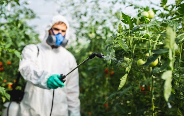 Scientists warned about unexpected brain hazard from popular pesticide