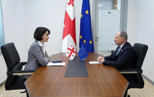 МИД Грузии вызвал посла ЕС