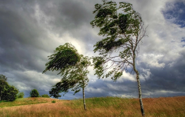 Bəzi rayonlarda güclü külək əsir - FAKTİKİ HAVA