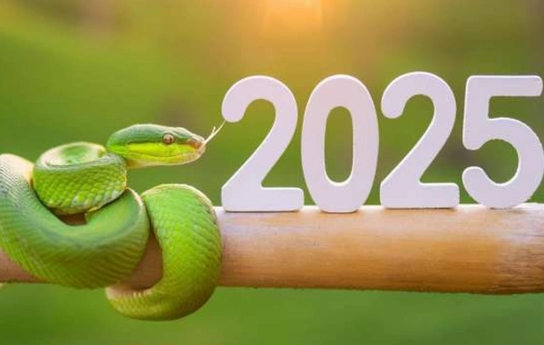 2025-ci il onlar üçün gəlir - Gələn ilin hər baxımdan ən şanslı BÜRCLƏRİ