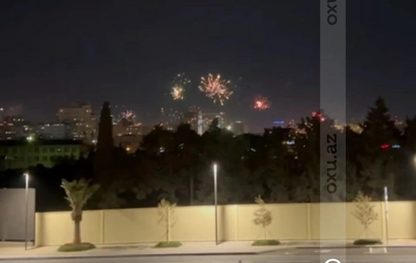 Bakının Ağ Şəhər ərazisində kütləvi ağac kəsimi: Saxlanılanlar var