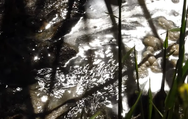 Zığ sakinləri təhlükə içində: Uşaq gözümün qabağında kanala düşdü