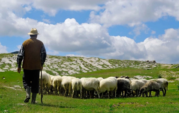 Azərbaycanlı çoban Ermənistan ərazisinə keçib