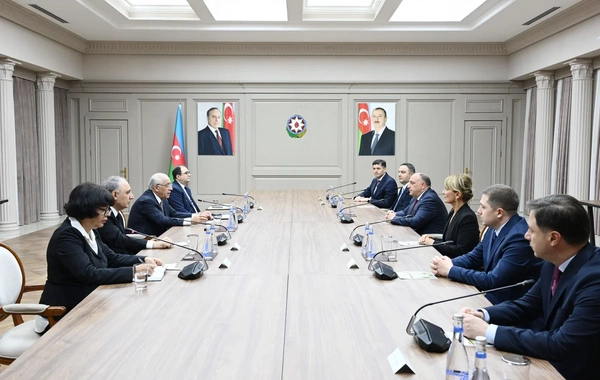 Əli Əsədov Gürcüstanın baş prokuroru ilə görüşüb