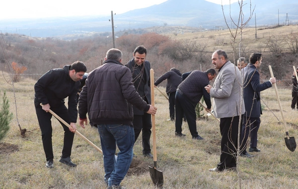 Xocalıda Heydər Əliyevin anım günü münasibətilə ağacəkmə aksiyası keçirilib