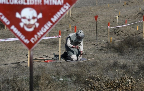 Ötən həftə 1700 hektar ərazi minalardan təmizlənib