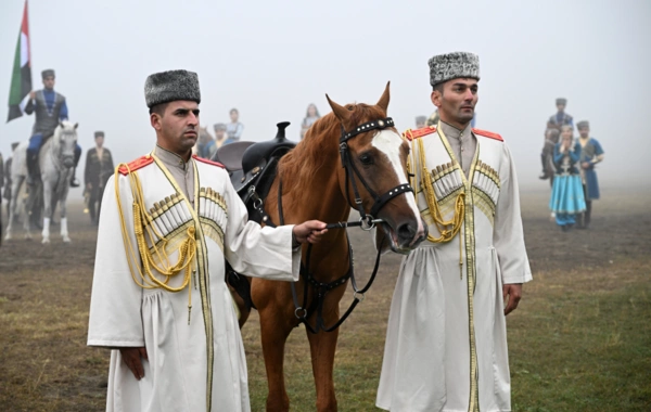İlham Əliyev Şeyx Məhəmməd bin Zayed Al Nəhyana Qarabağ atı hədiyyə edib
