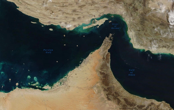 СМИ: Трамп выдвинул ЕС ультиматум по отправке военных в Ормузский пролив