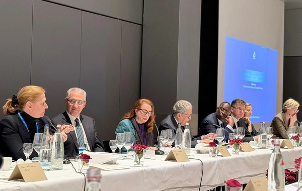 Nizami Gəncəvi Beynəlxalq Mərkəzi Münhen Təhlükəsizlik Konfransı çərçivəsində tədbir keçirib