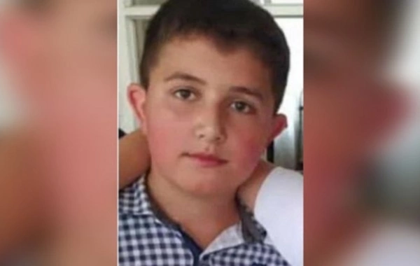 Elmirin ölümünə səbəb olan şəxs həbs edildi