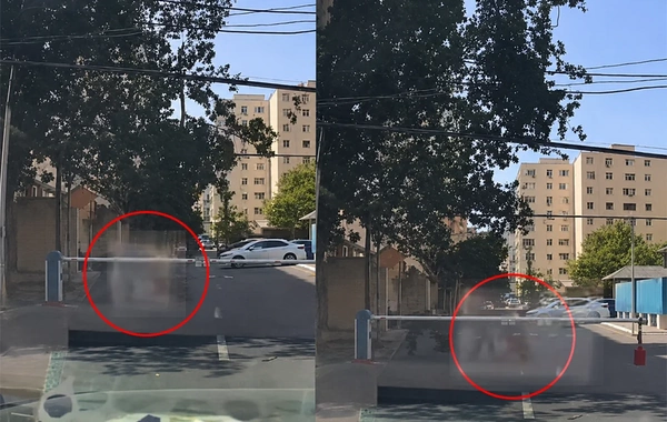 Bakıda qırılan budaq qadının üzərinə düşdü